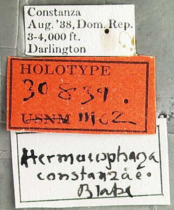 Media type: image;   Entomology 30839 Aspect: labels